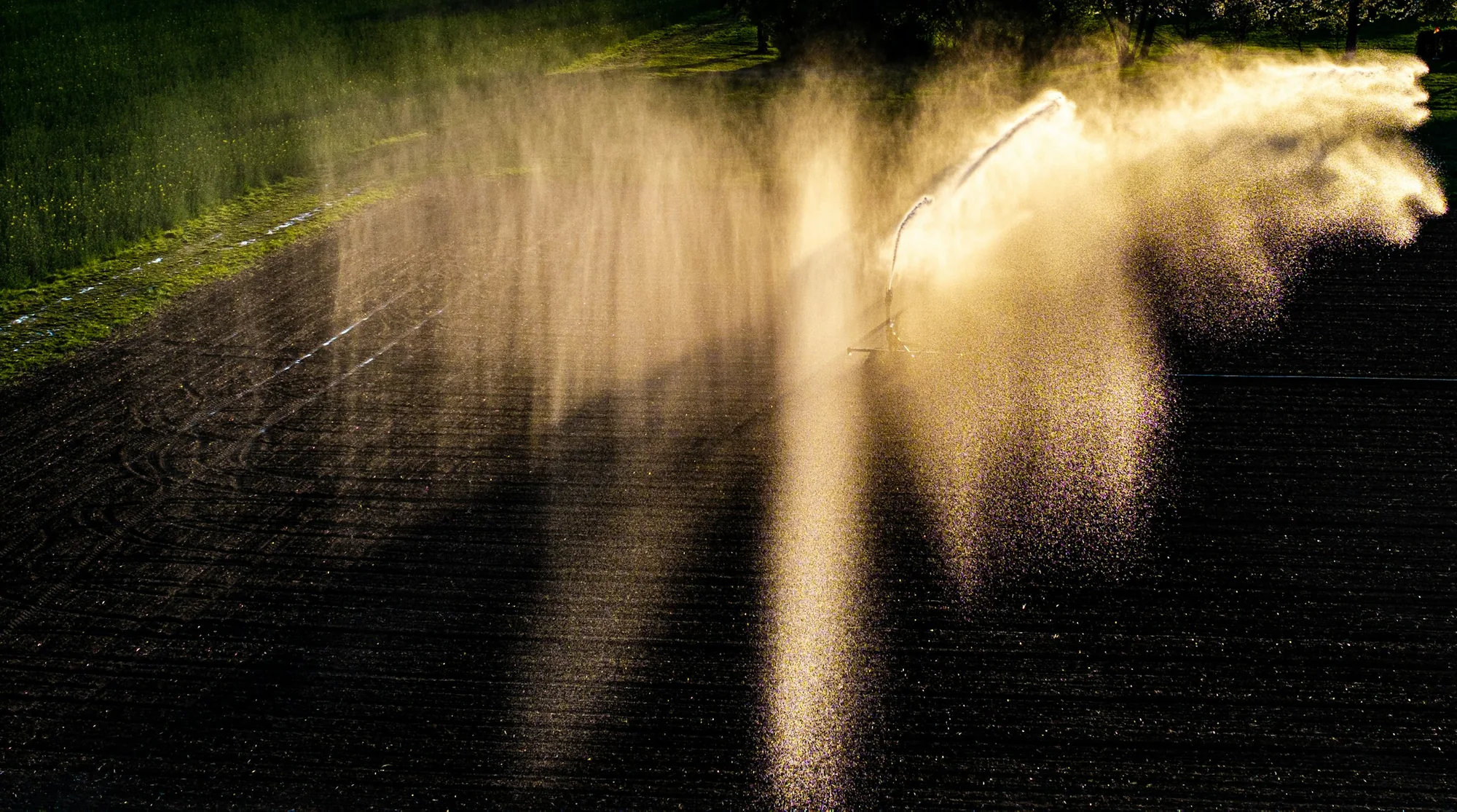 Système d'irrigation diffusant de l'eau sur une parcelle agricole